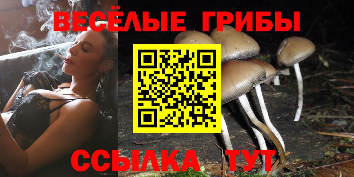 Псилоцибиновые грибы MAGIC MUSHROOMS  Псилоцибиновые грибы прущие грибы  Узловая  Вход с VPN 